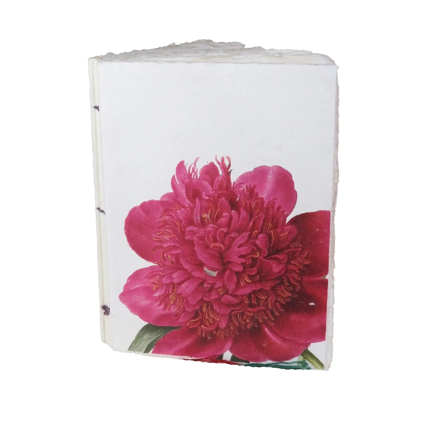 Carnet parchemin - pivoines Epigram