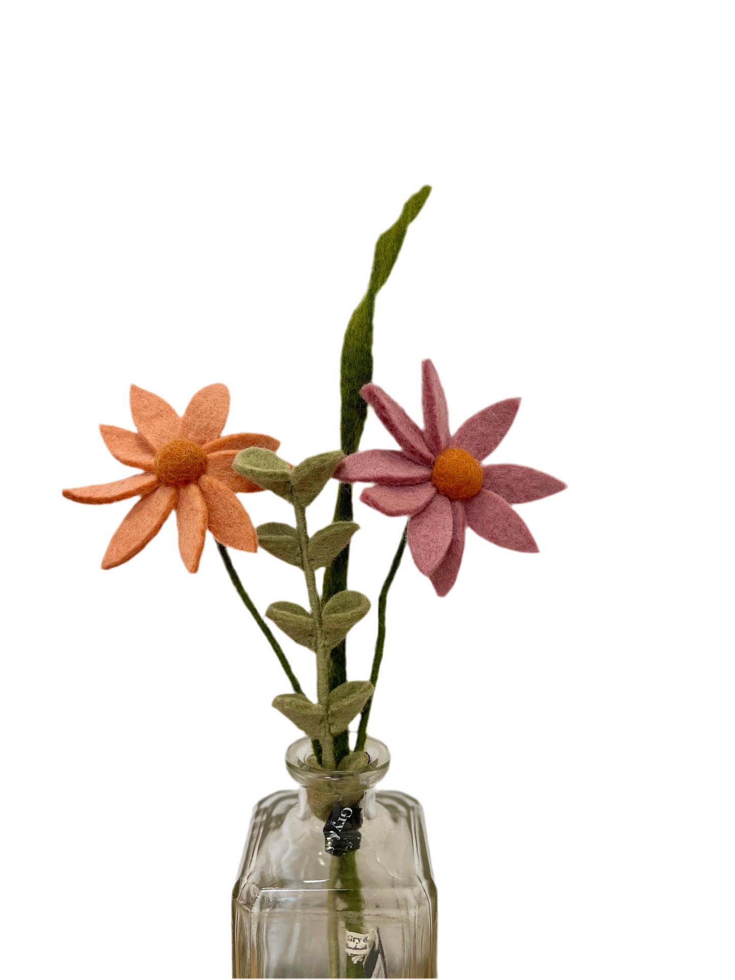 Cosmos