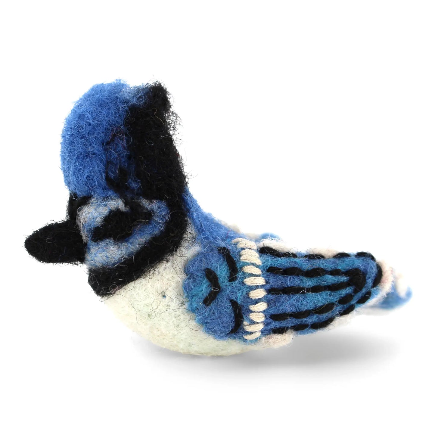 Geai bleu Gry & Sif