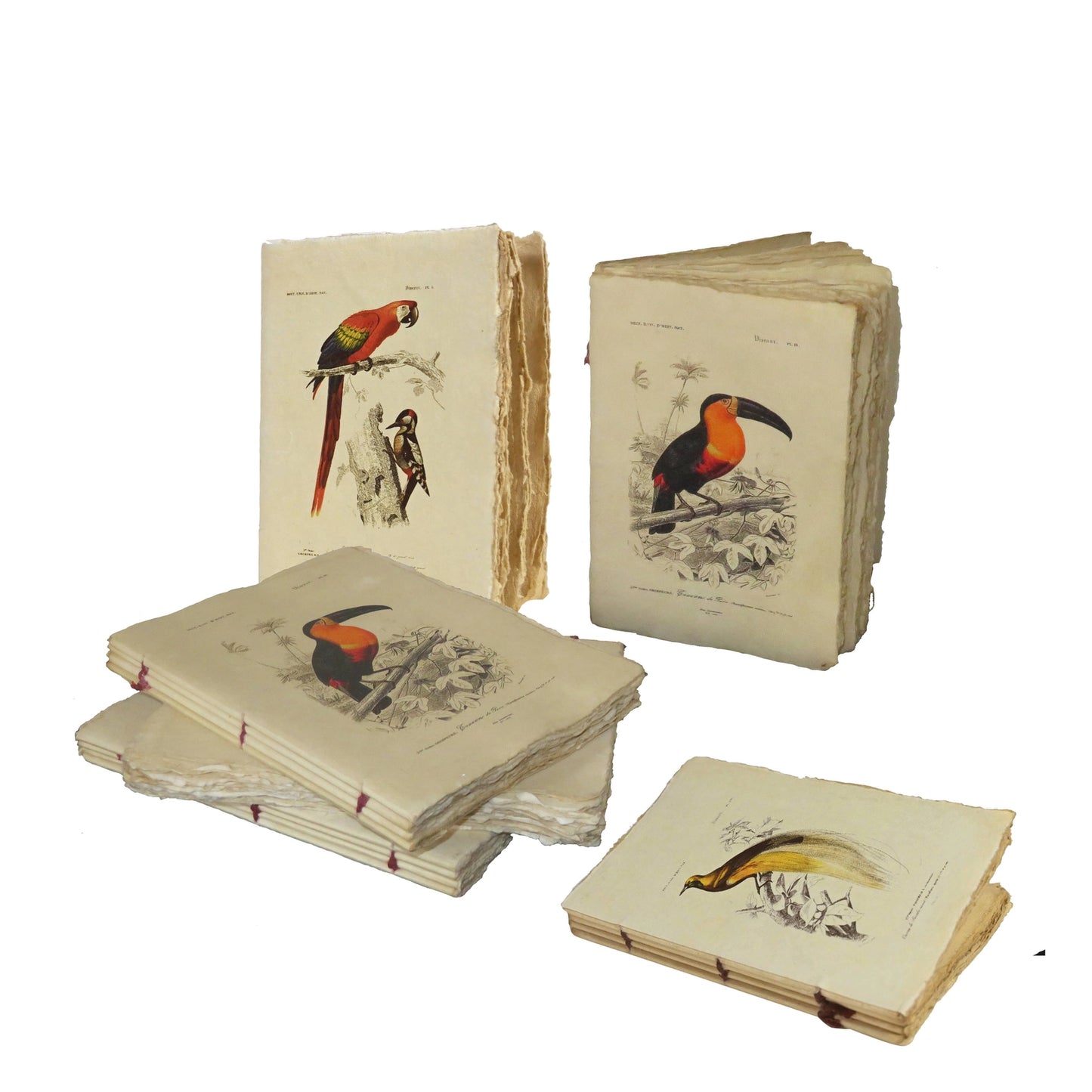 Carnet parchemin - oiseaux vintage