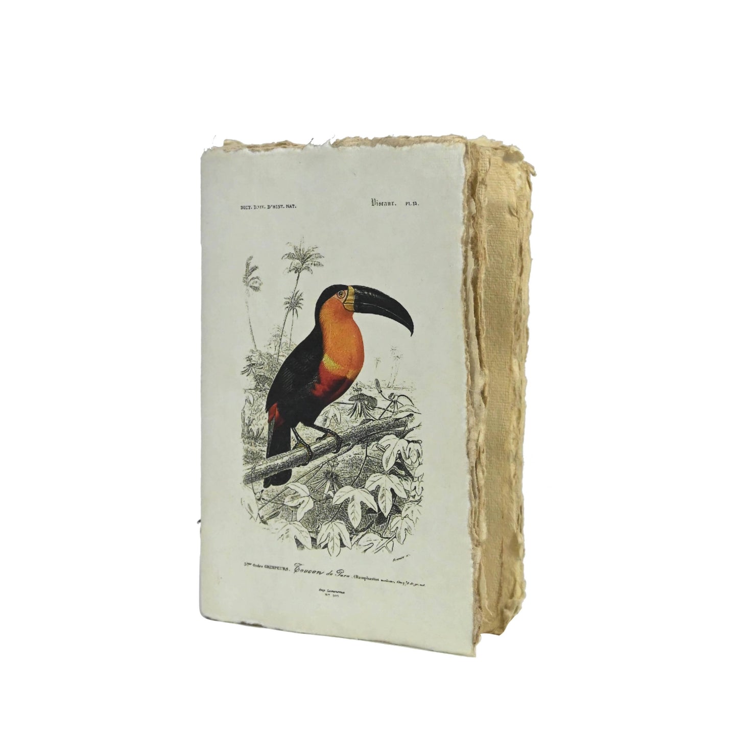 Carnet parchemin - oiseaux vintage