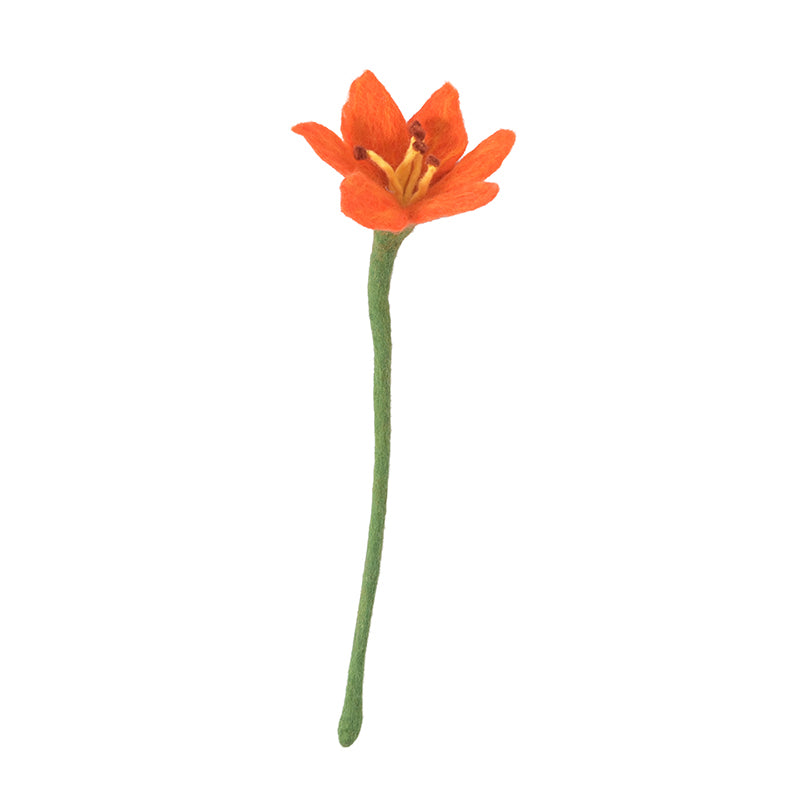 Lys