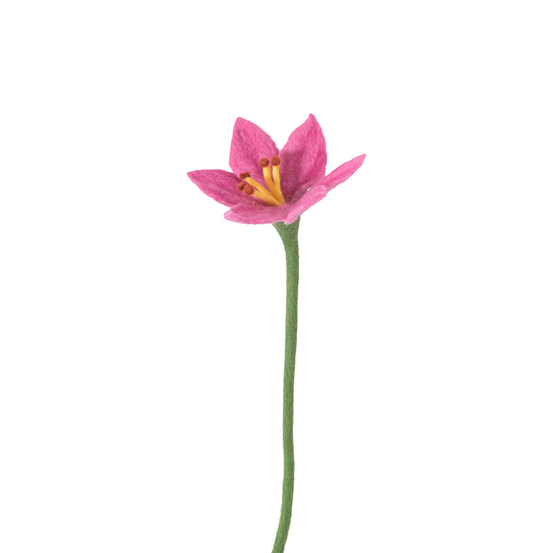 Lys
