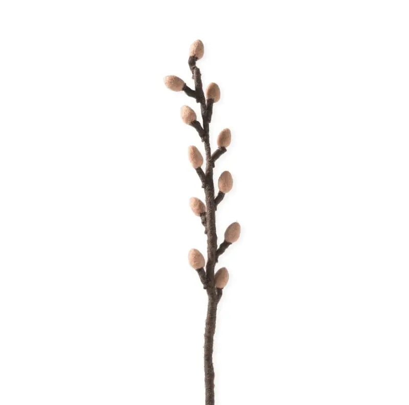 Branche de saule Aveva