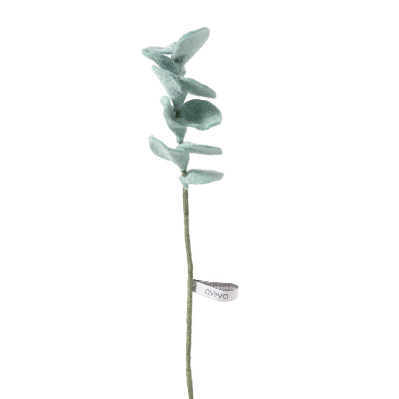 Eucalyptus
