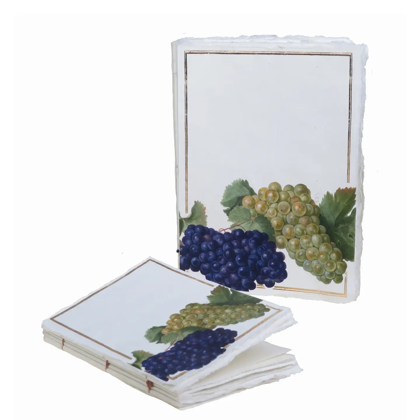 Carnet parchemin - raisins