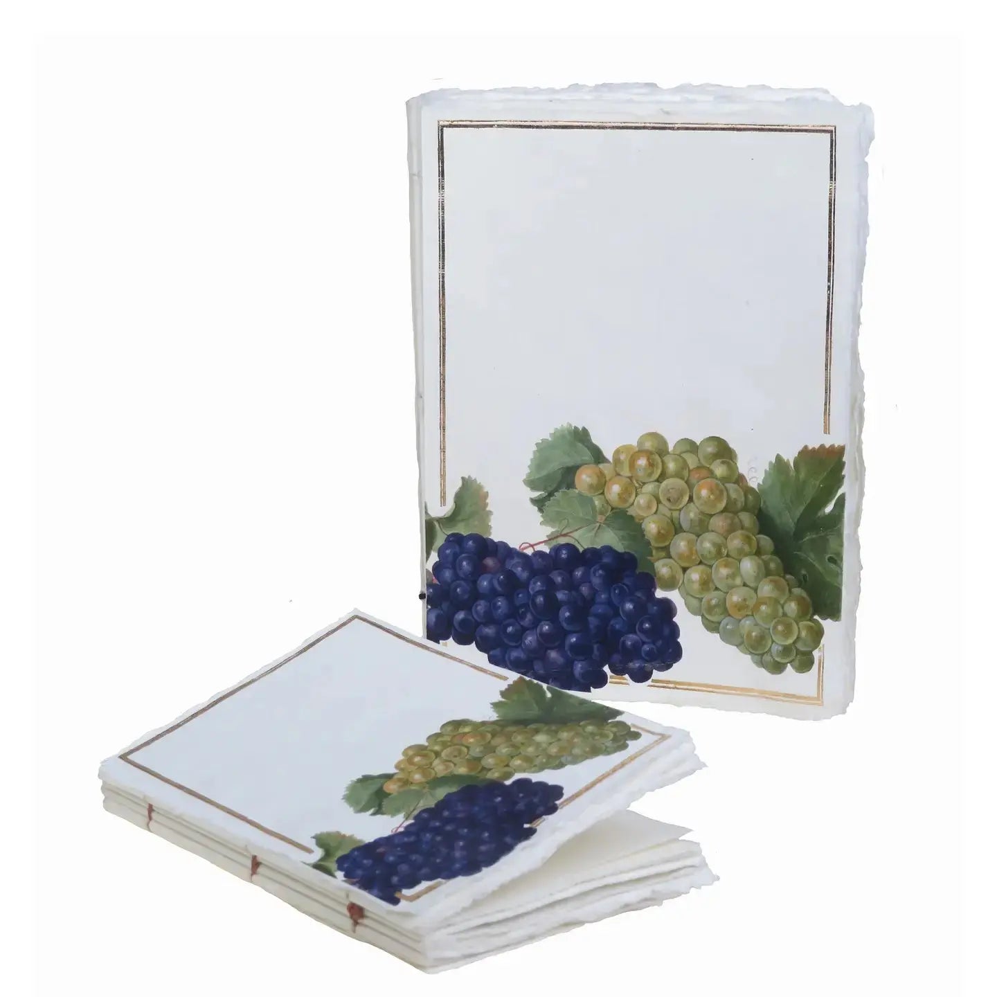 Carnet parchemin - raisins Epigram