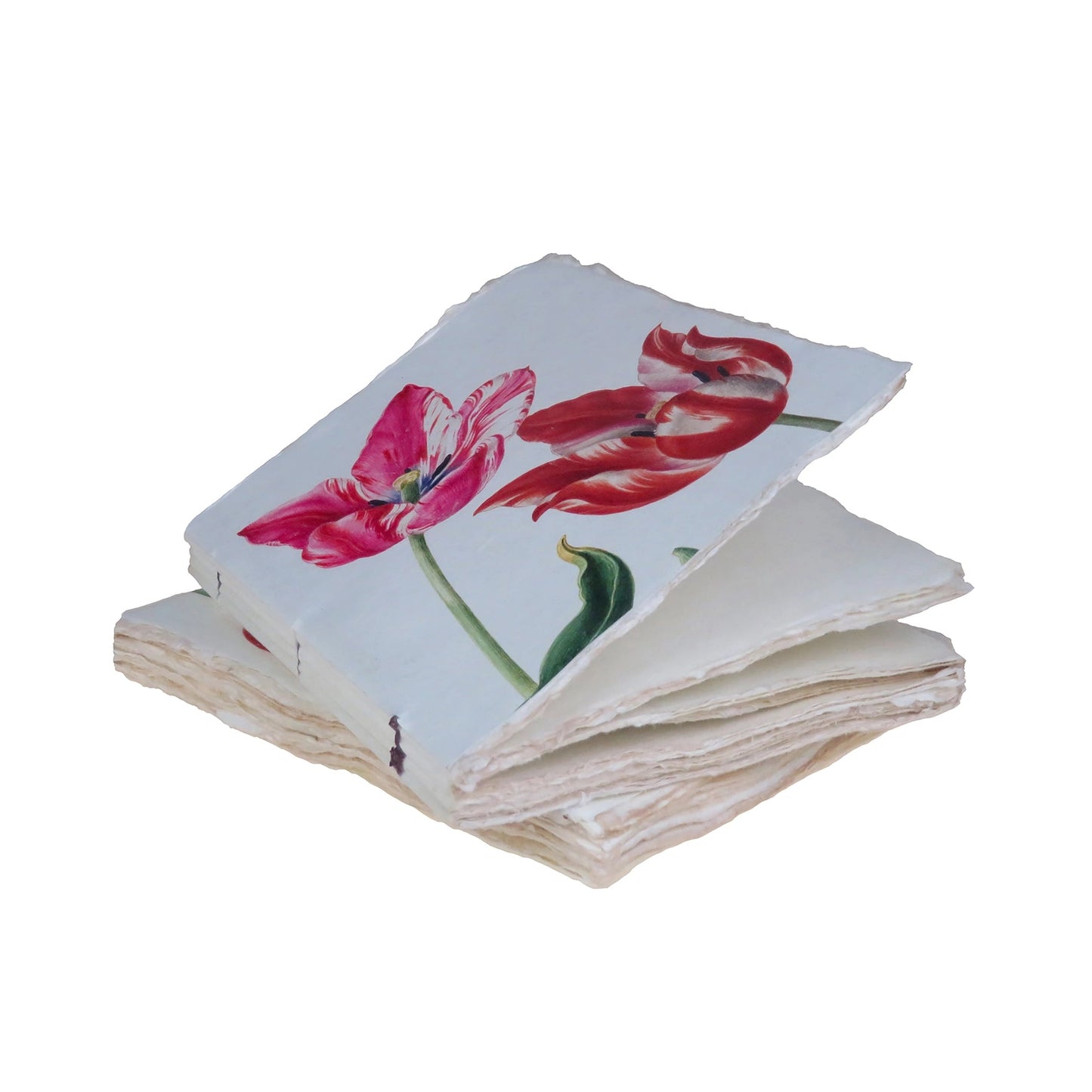 Carnet parchemin - tulipes Epigram