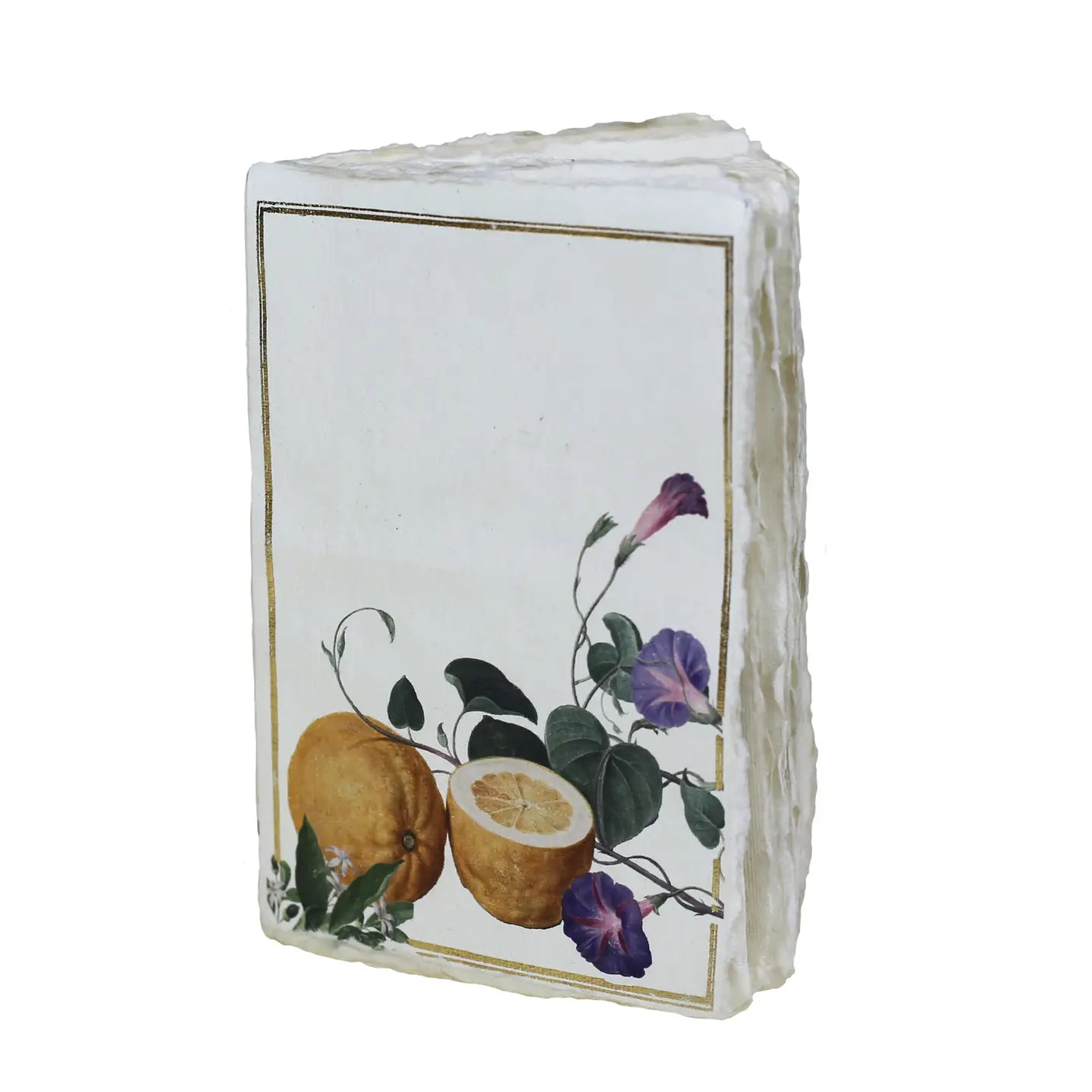Carnet parchemin - citrons