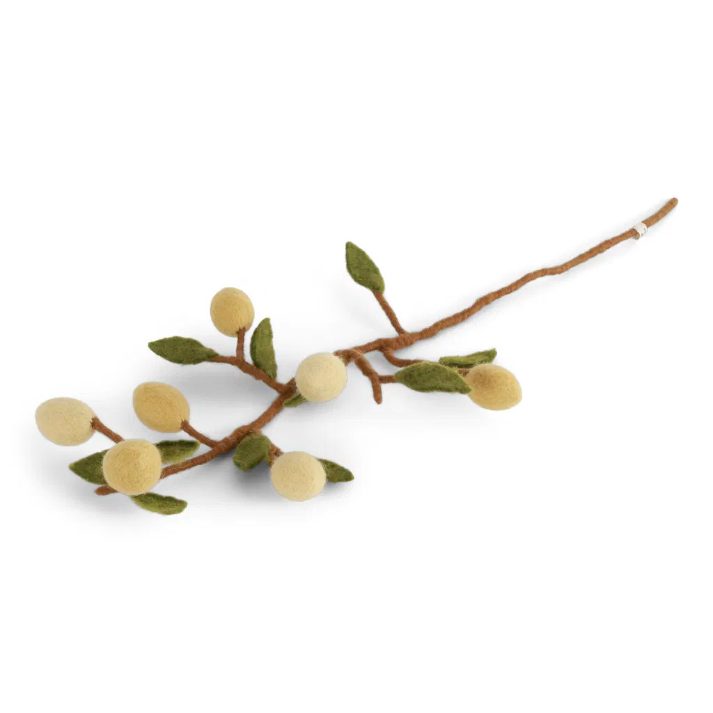 Branche de citrons