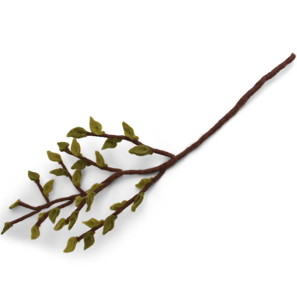 Branche petites feuilles