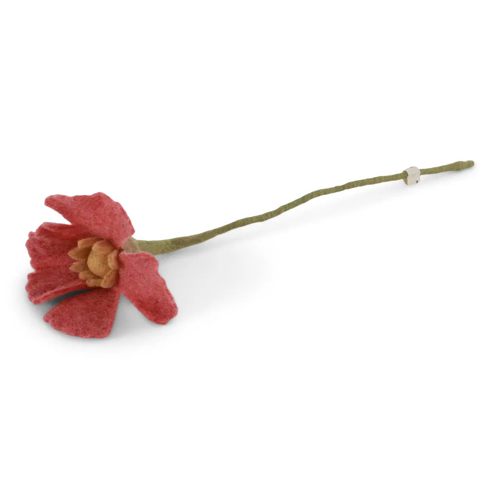 Coquelicot