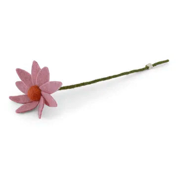 Cosmos