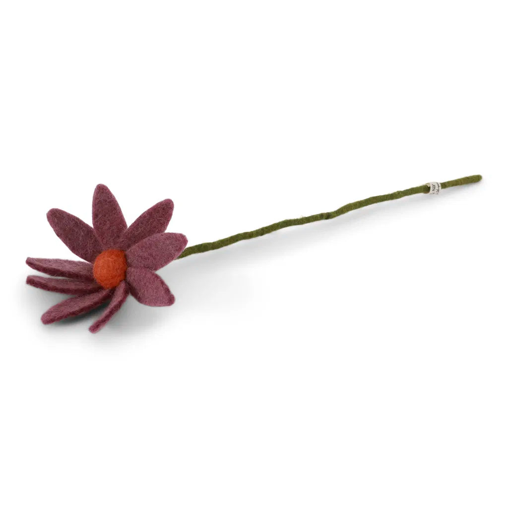 Cosmos