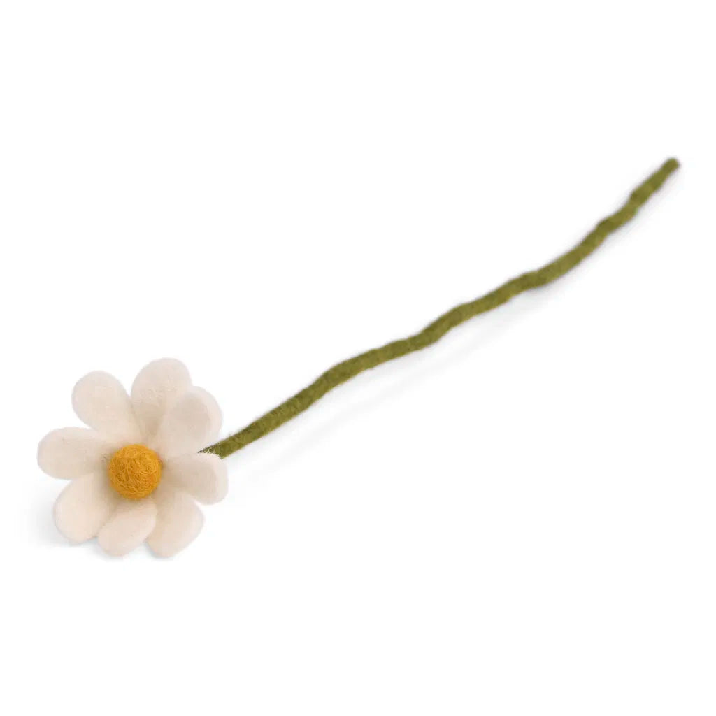 Petite marguerite
