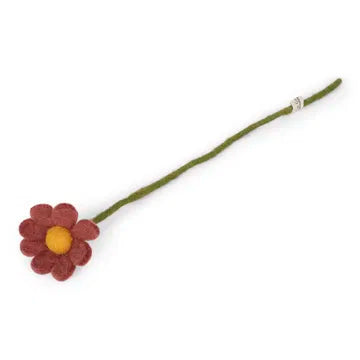 Petite marguerite