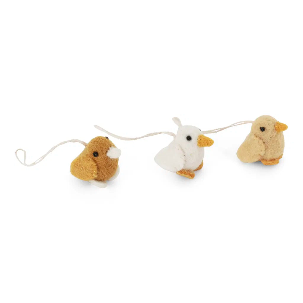 Poussins (trio) Gry & Sif