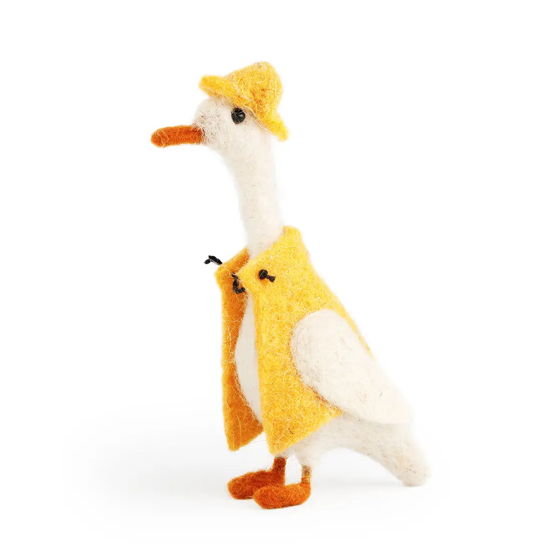 Canards