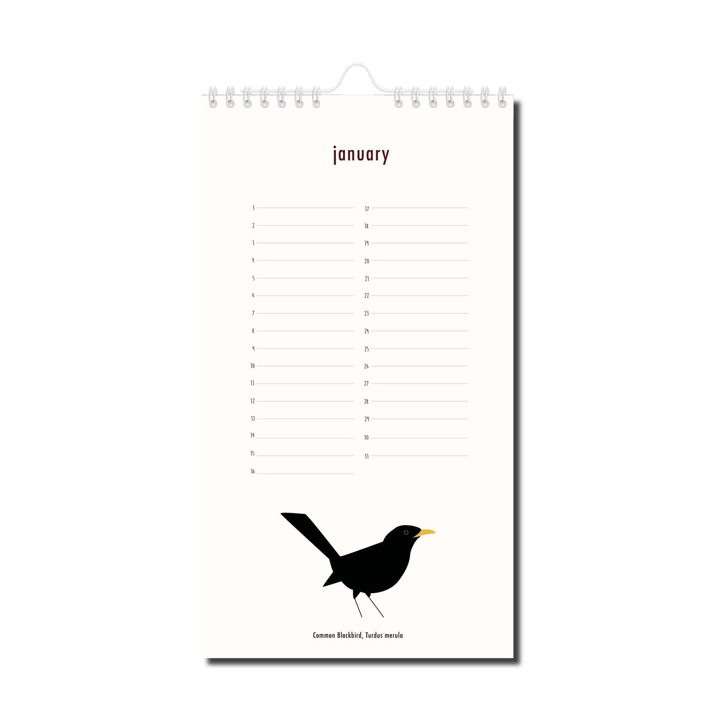Calendrier des anniversaires "bird-day"