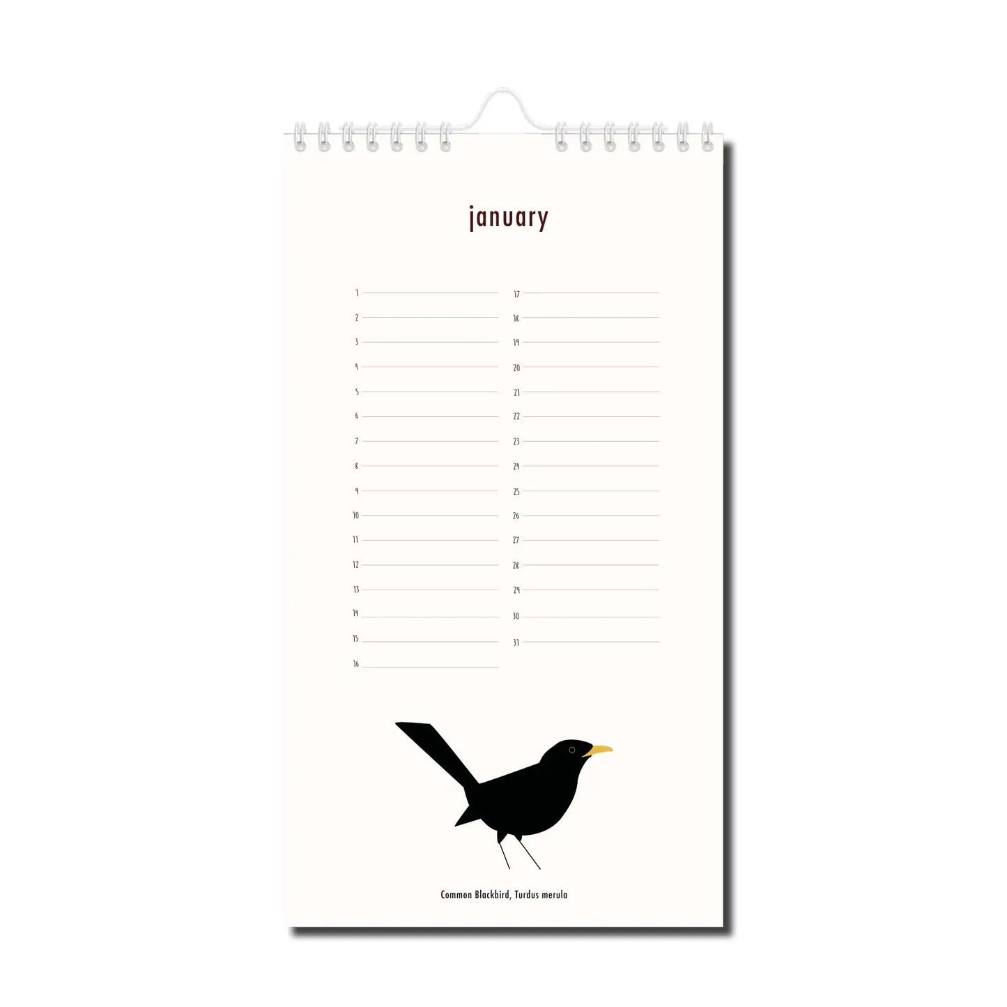 Calendrier des anniversaires "bird-day" De Lange Tafel