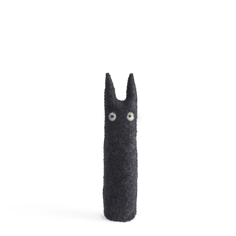 Chats curieux