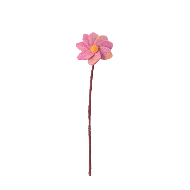 Dahlia