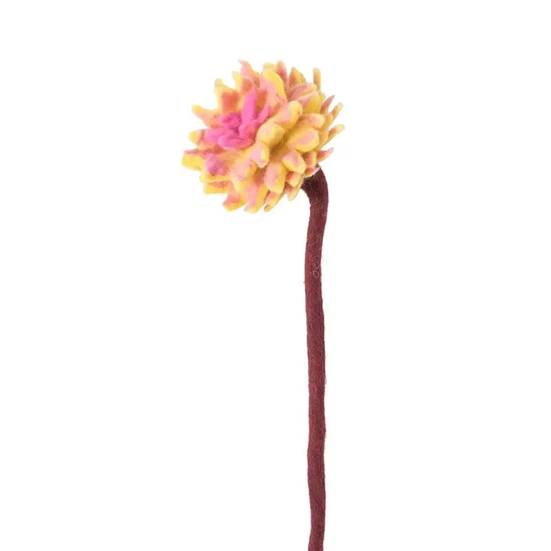 Dahlia Aveva