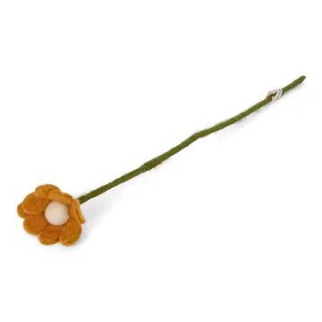 Petite marguerite