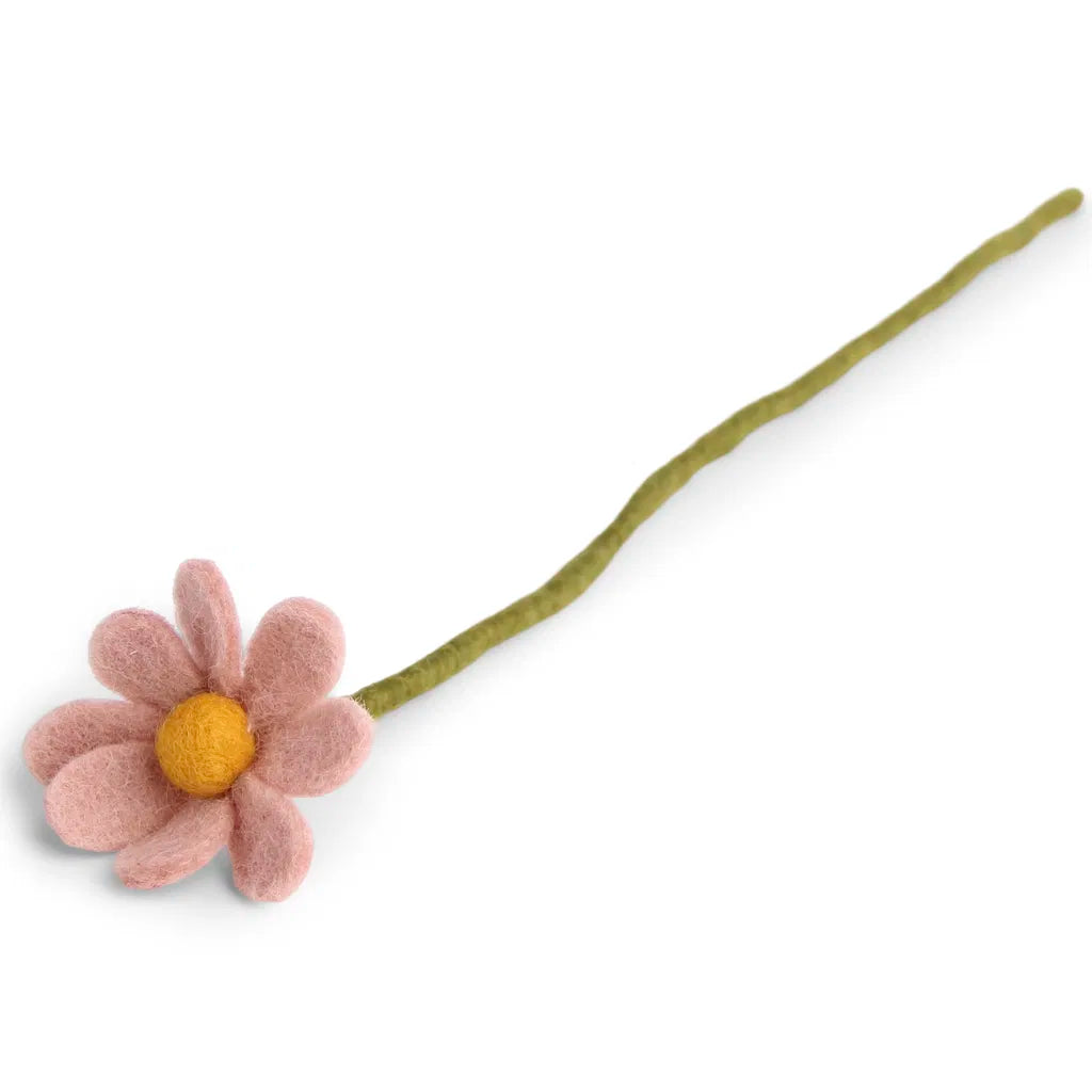 Petite marguerite