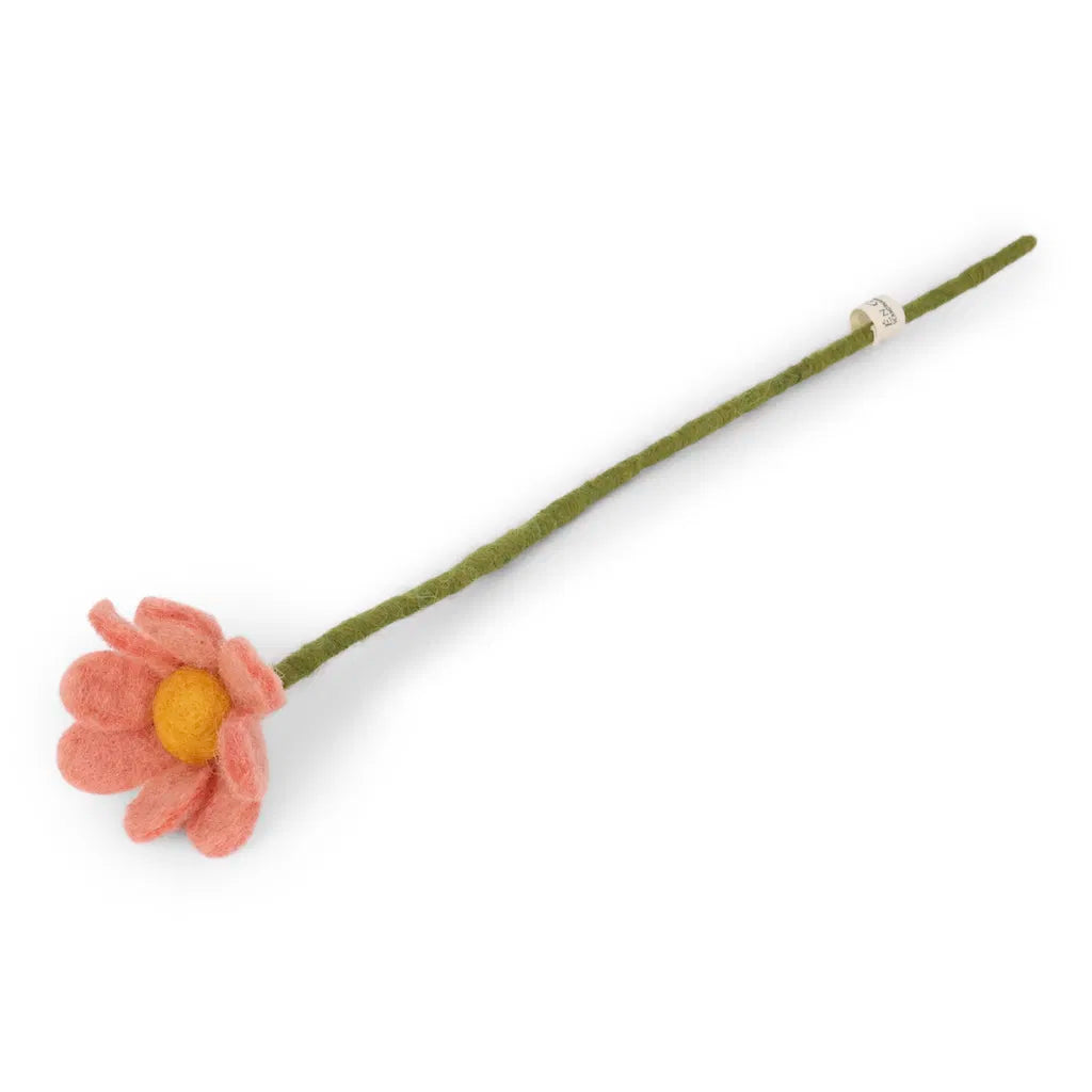Petite marguerite