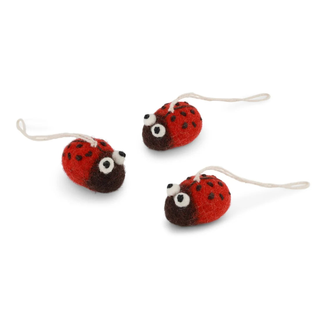 Coccinelles (trio)