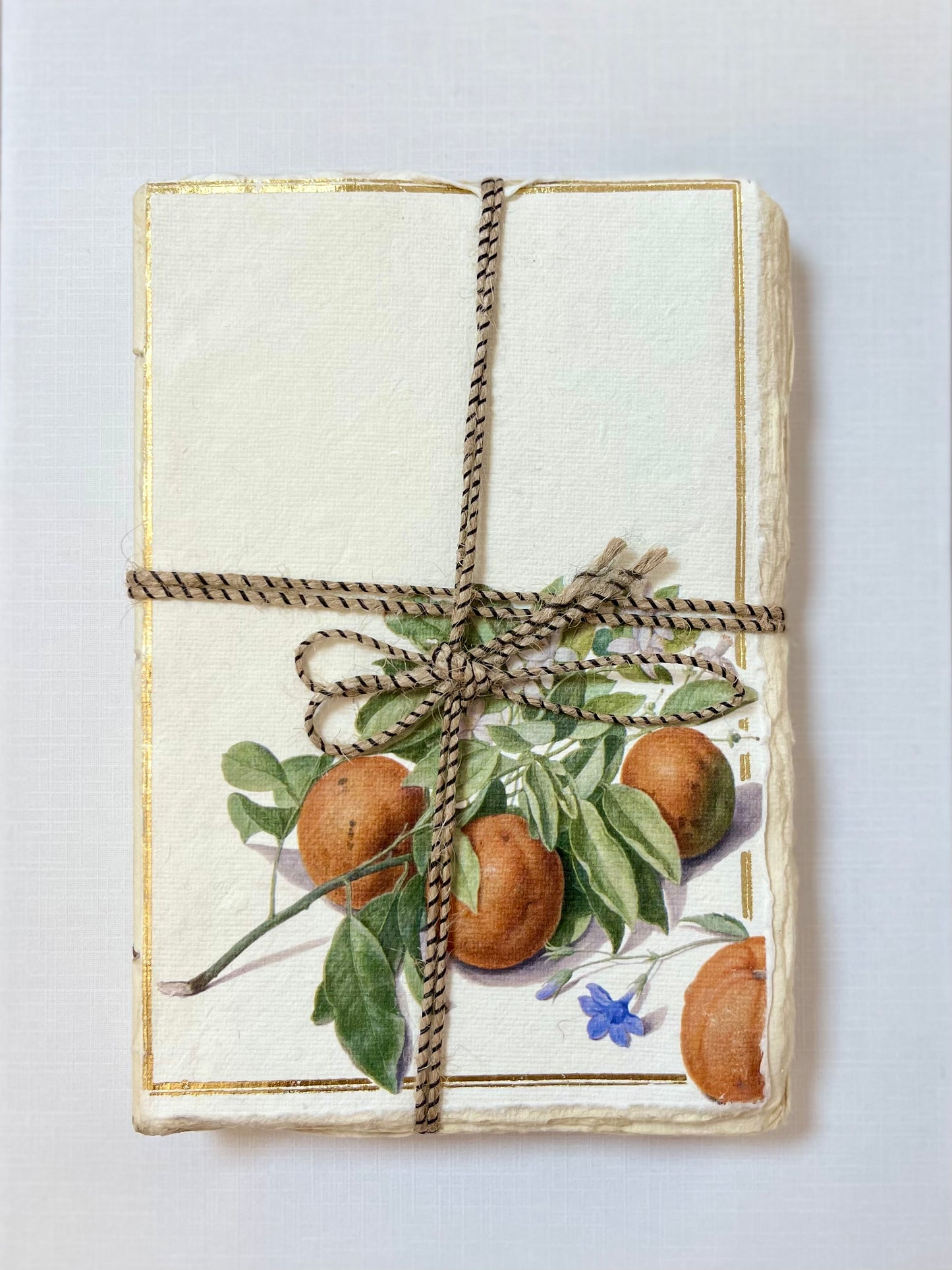 Carnet parchemin - oranges