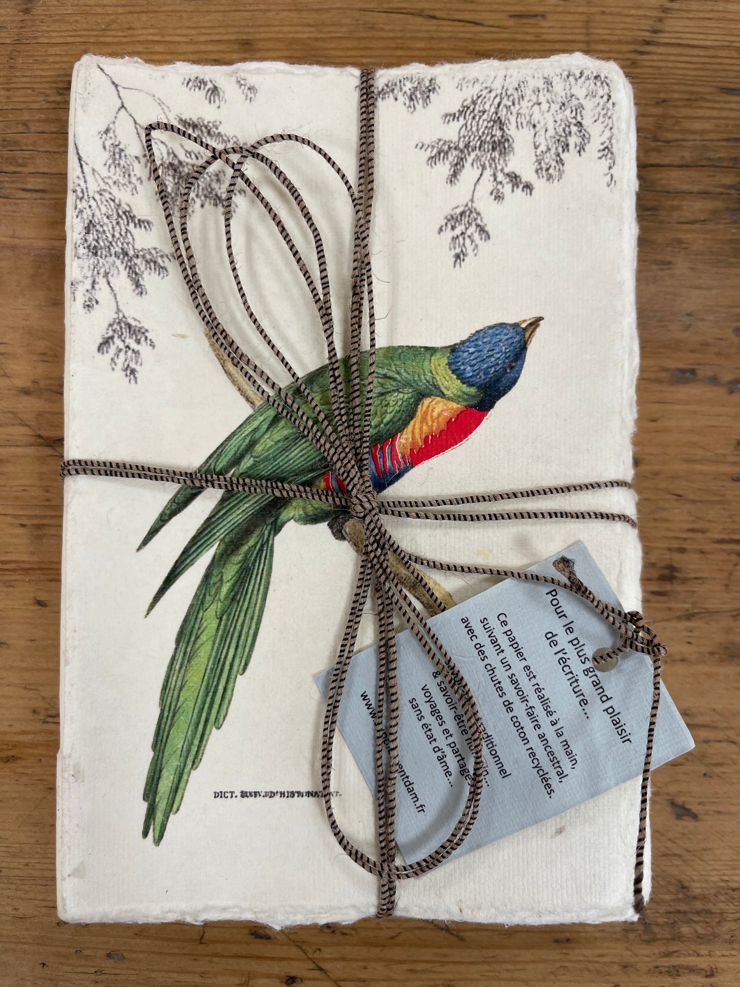 Carnet parchemin - oiseaux des tropiques