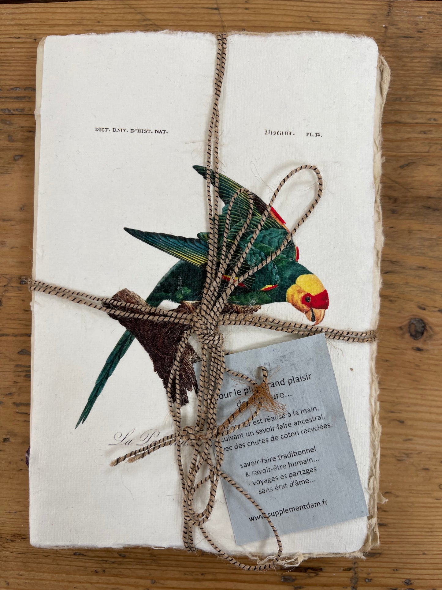 Carnet parchemin - oiseaux des tropiques