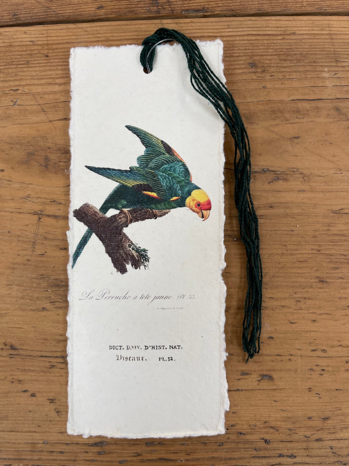 Marque-page - oiseaux des tropiques