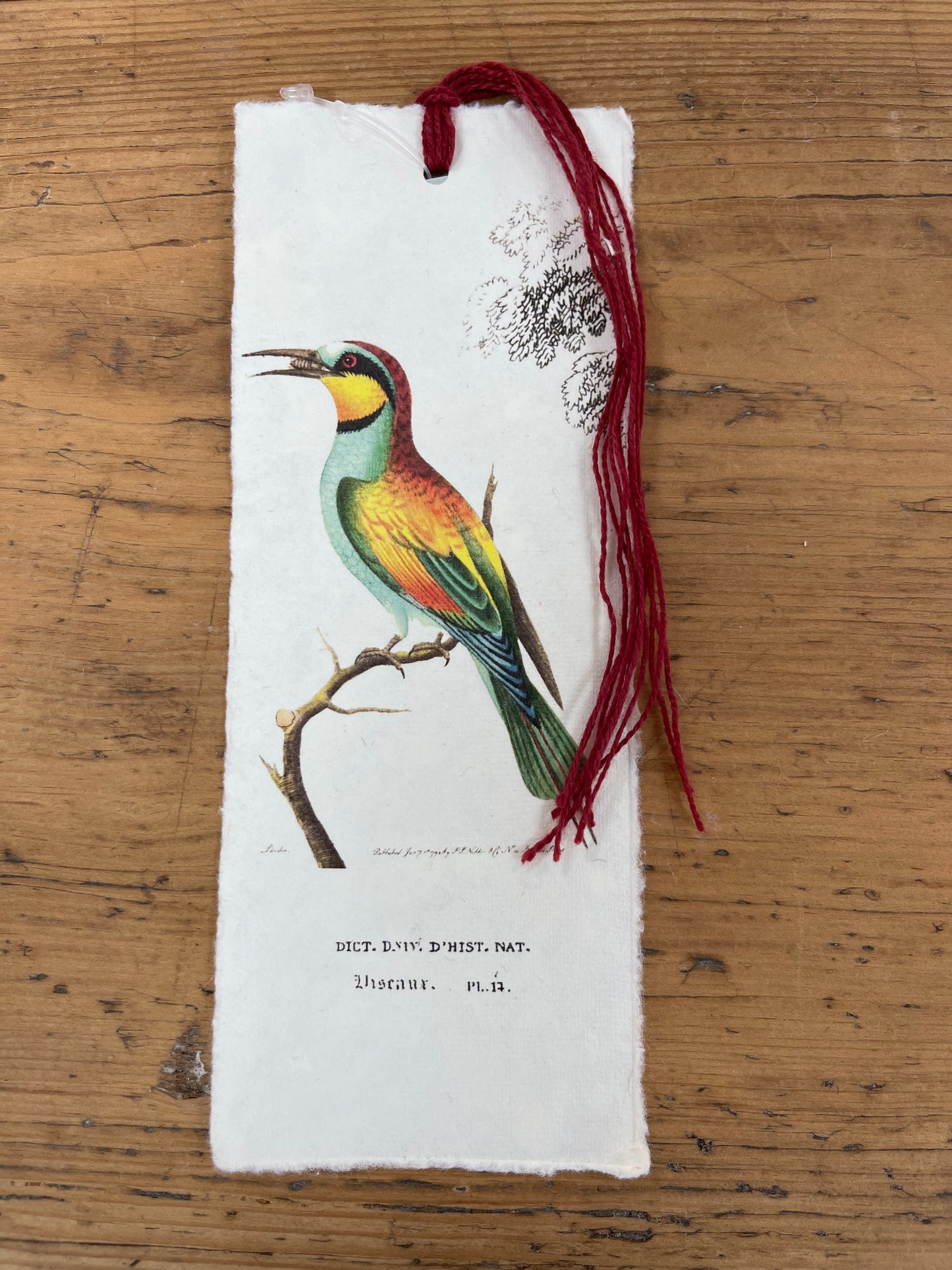 Marque-page - oiseaux des tropiques