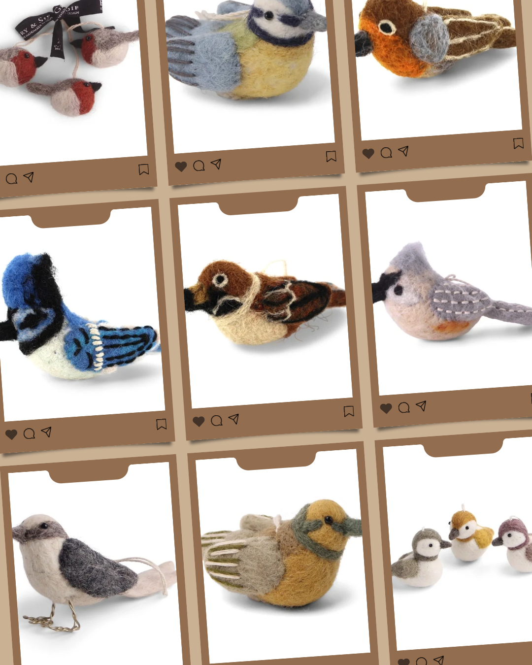 Oiseaux