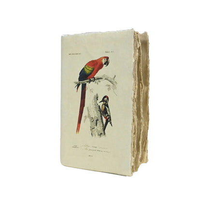 Carnet parchemin - oiseaux vintage