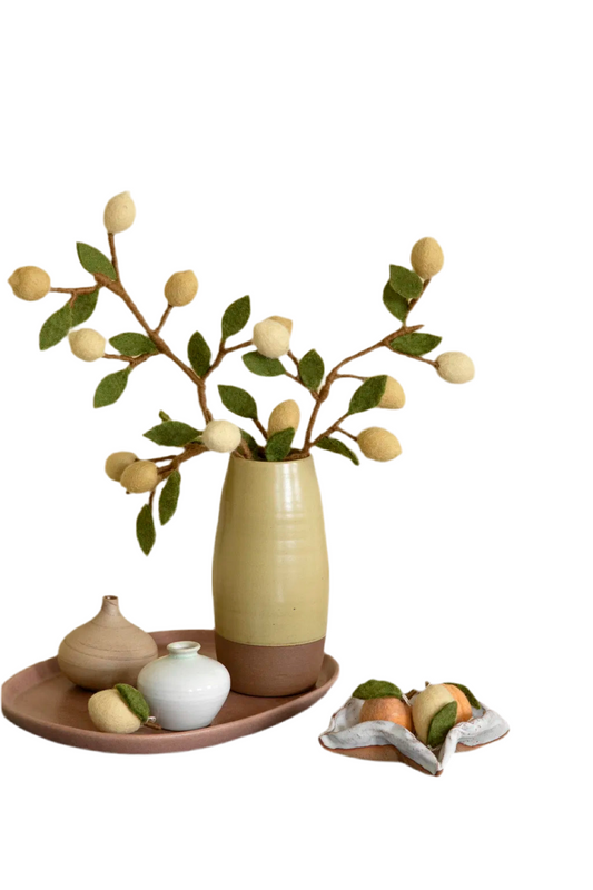 Branche de citrons