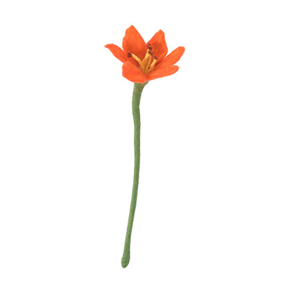 Lys