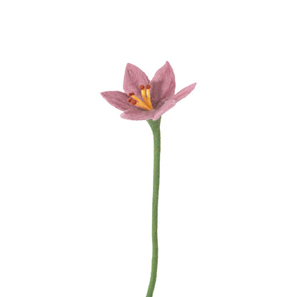 Lys