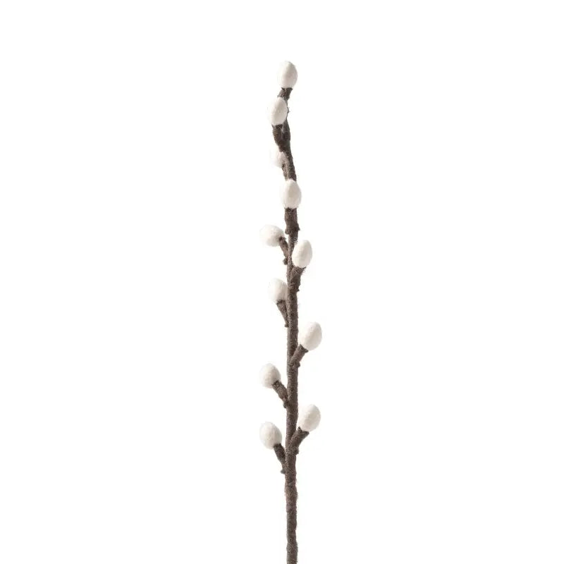 Branche de saule Aveva