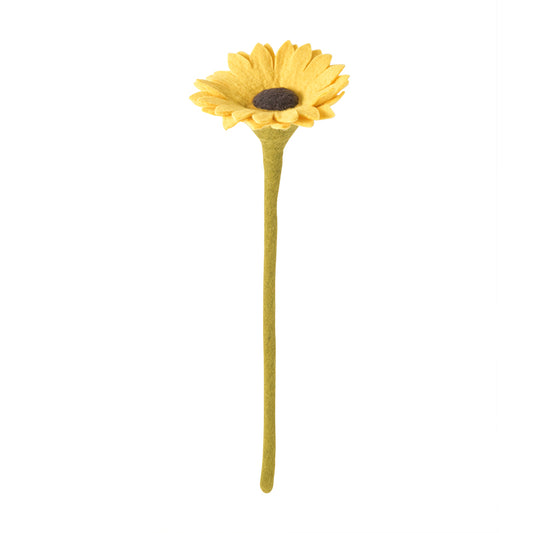 Tournesol