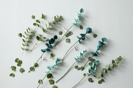 Eucalyptus