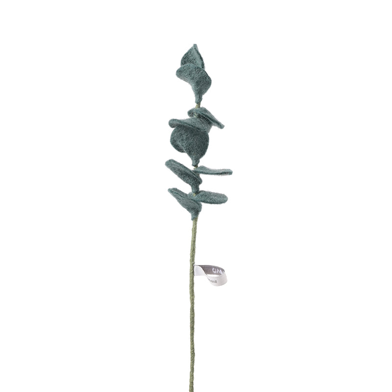 Eucalyptus