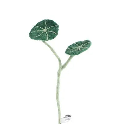 Feuilles de stephania Aveva