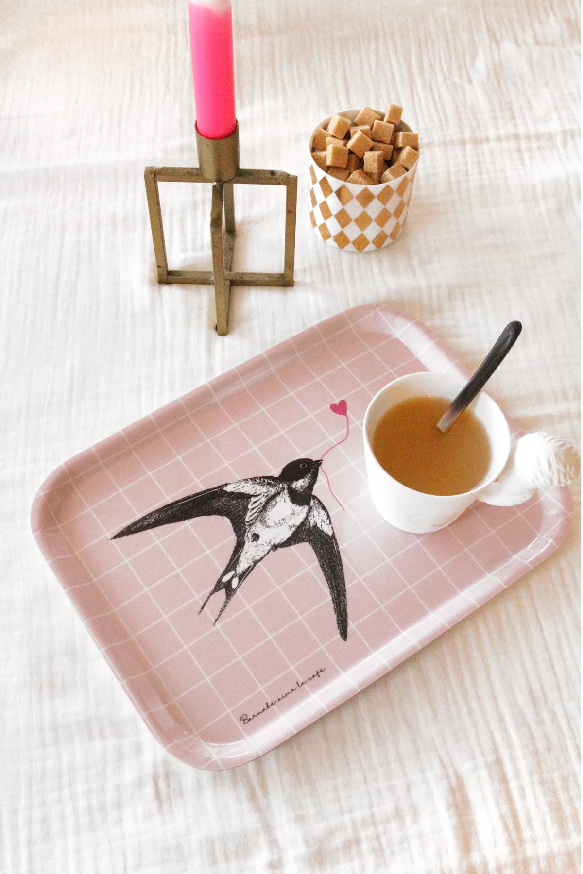 Plateau - Hirondelle Barnabé aime le café