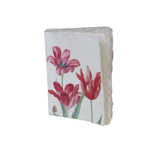 Carnet parchemin - tulipes