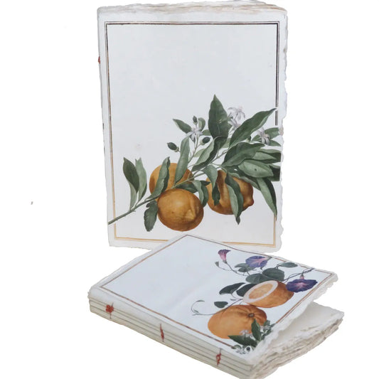 Carnet parchemin - citrons