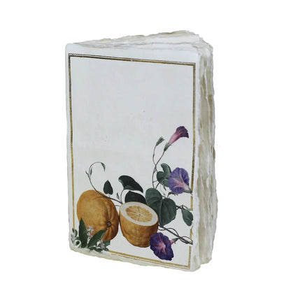 Carnet parchemin - citrons